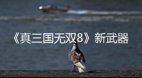 无双演示新武真转锤器昊三国视频