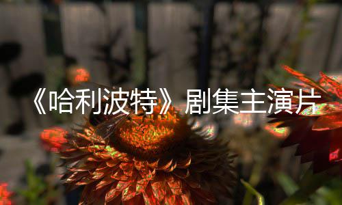 二季片酬曝光特主演哈剧集就成百万利波第富翁