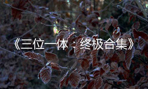 品合位一宣公布传片体体终极合集部作三 四