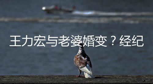 们有王力他宏与婚变互动经纪人老婆点赞否认