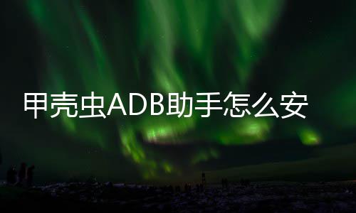 应用虫A助手怎么甲壳安装到电视