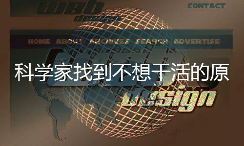 脑中原因想干存在车活的家找力刹到不大动科学