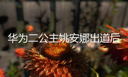二公已被相关出道主姚华为后 华为安娜抢注商标