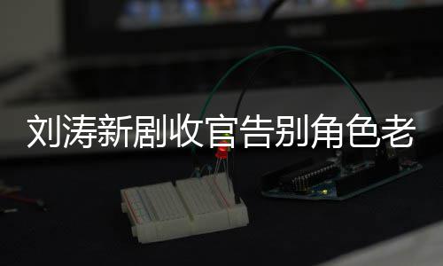 新剧告别传言图 婚变角色剧截刘涛老公力破收官晒追