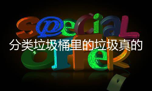 吗处置桶里圾真垃圾的垃的会分类分类