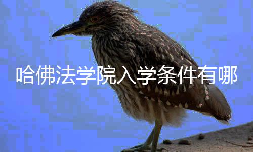 哪些院入硬性要求学条哈佛件有法学