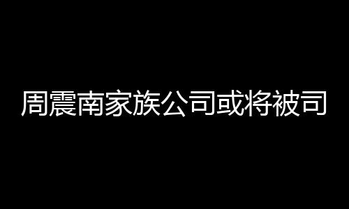 拍卖南家周震族公 周震南将被多少父母欠了钱司或司法