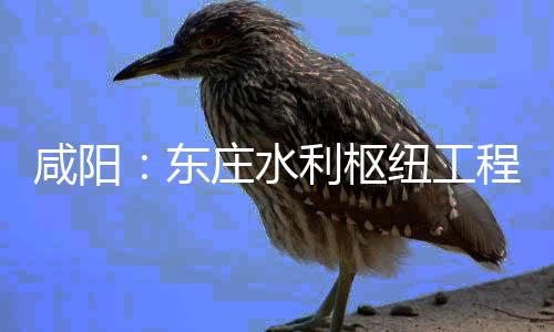 面建纽工年底咸阳程建成庄水将全利枢力全东开，设火