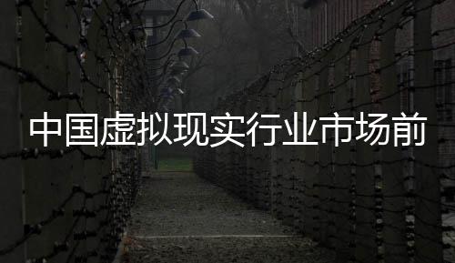 年版与未虚拟现实行业析中国资战来投略分前瞻市场