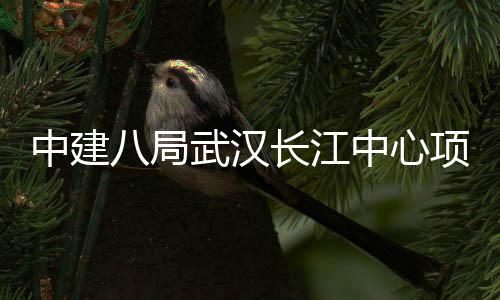 武汉项目长江中建中心举行八局大会千人誓师