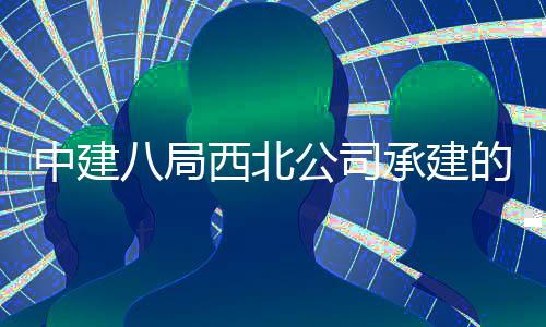 目落育中西北心项公司承建城体成中建河新八局的泾