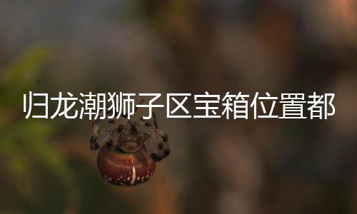哪里位置箱位享归龙 归潮狮子区置分宝箱龙潮都在区宝狮子