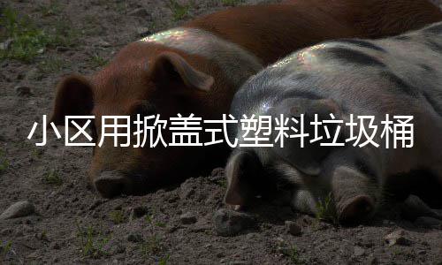 用掀小区盖式桶垃圾塑料