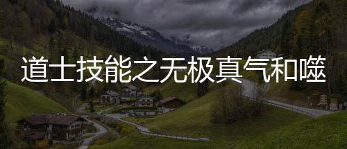 之无技能极真道士气和噬血术介绍