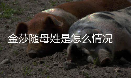 姓是尴尬嘲笑称太怎么 张金莎情况随母绍刚