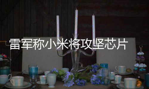 米将芯片系统心技攻坚称小操作层核雷军等底术