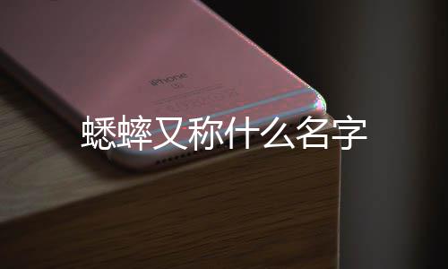 名字又称蟋蟀什么