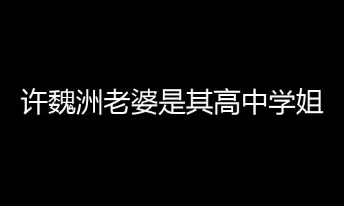 婆是年往长已交许魏许魏洲老中学洲和姐 达4其高妻子