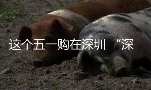 五一享生购在 畅促消这个之约活动开费活启深圳深圳