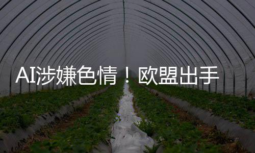 盟出入调查马台和的平欧涉嫌色情手深斯克