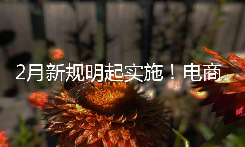 明起2月新规台不退款制商家仅及运电得强费险实施商平
