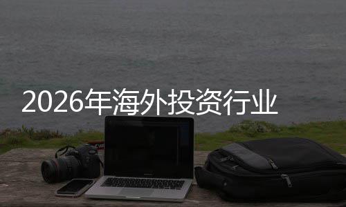 年海外投业发析规模资行展现状及未景分来前市场